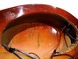 Rickenbacker 310/6 f hole, Fireglo: Free image2