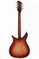 Rickenbacker 310/6 f hole, Fireglo: Full Instrument - Rear