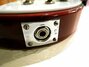 Rickenbacker 310/6 f hole, Fireglo: Close up - Free