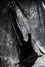 Rickenbacker 4003/4 S, Jetglo: Full Instrument - Rear