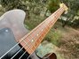 Rickenbacker 3001/4 , Autumnglo: Neck - Front