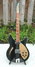 Rickenbacker 360/6 V64, Jetglo: Full Instrument - Front