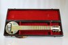 Rickenbacker A22/6 LapSteel, Gold: Full Instrument - Front