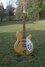 Rickenbacker 370/12 RM, Mapleglo: Full Instrument - Front