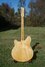 Rickenbacker 370/12 RM, Mapleglo: Full Instrument - Rear