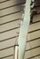 Rickenbacker 360/6 , Blue Boy: Free image2