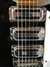 Rickenbacker 325/6 f hole, Black: Close up - Free