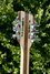 Rickenbacker 360/12 , Mapleglo: Headstock - Rear
