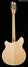 Rickenbacker 360/12 , Mapleglo: Full Instrument - Rear