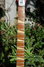 Rickenbacker 360/6 , Fireglo: Neck - Front
