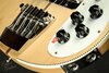 Rickenbacker 4003/4 CB Checkered Binding, Satin Mapleglo: Close up - Free