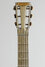 Rickenbacker A25/6 LapSteel, Gold: Headstock