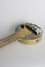 Rickenbacker A25/6 LapSteel, Gold: Free image