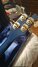 Rickenbacker 4003/4 , Azureglo: Headstock - Rear