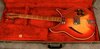 Rickenbacker 360/6 Capri, Fireglo: Free image