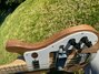 Rickenbacker 4003/4 S, Natural Walnut: Free image