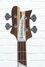 Rickenbacker 4003/4 CB Checkered Binding, Satin Mapleglo: Headstock