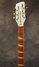 Rickenbacker 360/12 F, Blue Boy: Neck - Front