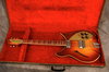 Rickenbacker 360/6 Capri, Autumnglo: Free image2