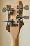 Rickenbacker 4003/4 , Mapleglo: Neck - Rear