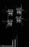 Rickenbacker 4003/4 S, Jetglo: Headstock - Rear