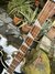 Rickenbacker 4003/4 , Matte Black: Neck - Front