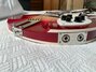 Rickenbacker 360/12 C63, Fireglo: Close up - Free