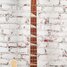 Rickenbacker 4003/4 , Mapleglo: Neck - Front