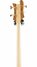 Rickenbacker 4004/4 Cii, Mapleglo: Headstock - Rear