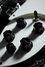 Rickenbacker 325/6 V63, Jetglo: Close up - Free2