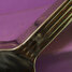 Rickenbacker NS 100/6 LapSteel, Silver: Neck - Rear