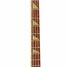 Rickenbacker 4001/4 Mod, Copper: Neck - Front