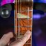Rickenbacker 360/6 WB, Mapleglo: Neck - Front