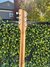 Rickenbacker 330/6 Mod, Natural Walnut: Headstock - Rear