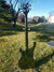 Rickenbacker 4001/4 , Jetglo: Full Instrument - Rear