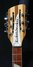 Rickenbacker 360/12 , Mapleglo: Headstock