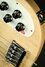 Rickenbacker 4003/5 S, Mapleglo: Close up - Free