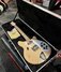 Rickenbacker 360/6 , Mapleglo: Free image2