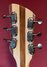 Rickenbacker 381/6 V69, Mapleglo: Headstock - Rear
