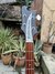 Oct 1995 Rickenbacker 4001/4 V63, Jetglo: Headstock