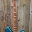 Rickenbacker 360/6 , Turquoise: Neck - Front