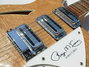 Rickenbacker 370/12 RM, Mapleglo: Free image