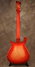 Rickenbacker 660/12 , Fireglo: Full Instrument - Rear