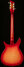 Rickenbacker 350/6 V63, Fireglo: Full Instrument - Rear