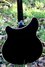 Jan 2004 Rickenbacker 360/6 BT, Jetglo: Body - Rear