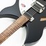 Rickenbacker 330/6 , Matte Black: Free image