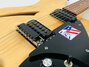 Rickenbacker 330/6 BH BT, Mapleglo: Free image