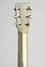 Rickenbacker A25/6 LapSteel, Gold: Headstock - Rear
