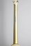Rickenbacker A25/6 LapSteel, Gold: Neck - Rear
