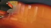 Mar 1983 Rickenbacker 330/6 , Fireglo: Body - Rear